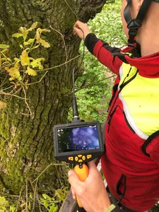 Ein Baum wird mit einem Messgerät auf Artenschutz geprüft