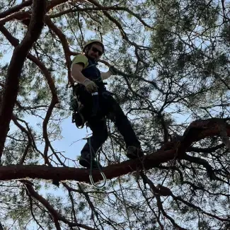 Baumkletterer Seilklettertechnik A