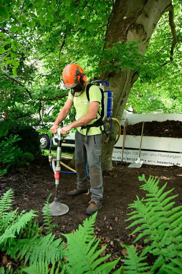 Maßnahmen für eine bessere Bodenbelüftung