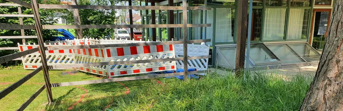 Baumschutzmaßnahmen