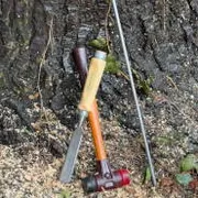 Baumkontrolle & Gutachten