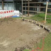 Baumschutz & umweltfachliche Baubegleitung