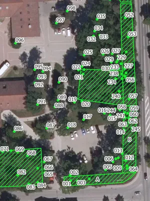 Werkzeuge vor einem Baum zur regelmäßigen Kontrolle