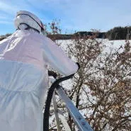 Schädlinge entfernen