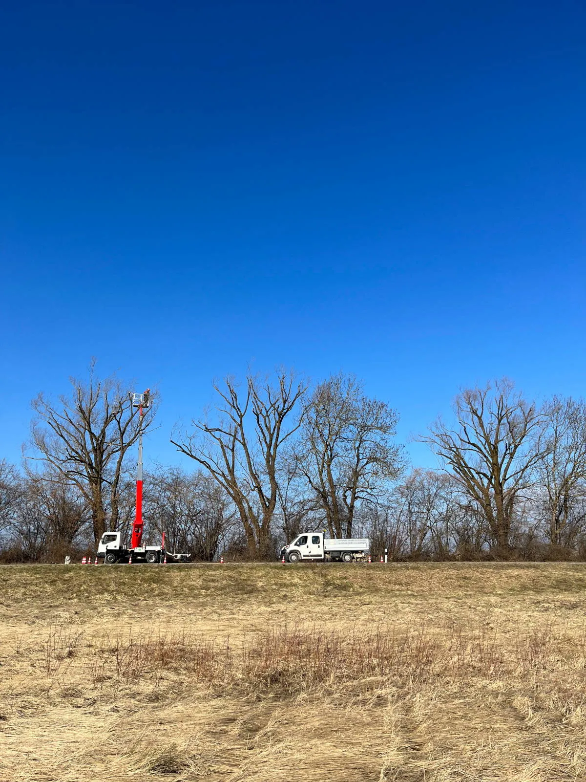 Starke Schnittmaßnahmen an der Straße