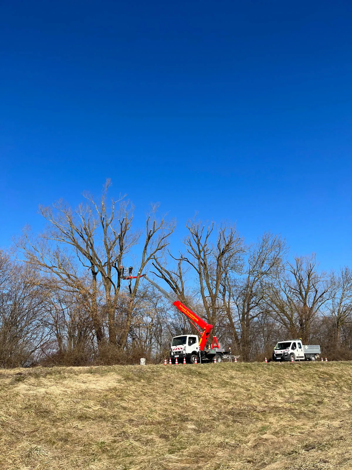 Starke Schnittmaßnahmen an der Straße