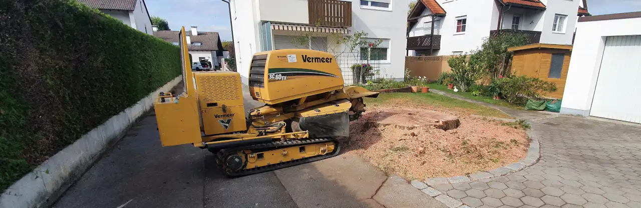 Fräse für Wurzelstöcke